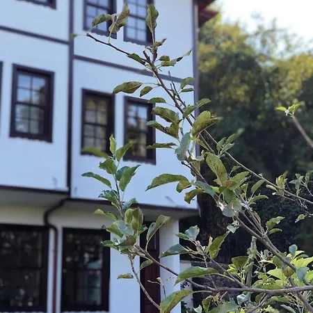 Ibrahim Aga Konagi 3* Kartepe