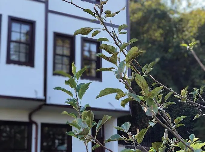 Ibrahim Aga Konagi 3* Kartepe